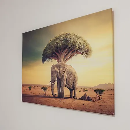 Διαμέρισμα Kupelna *